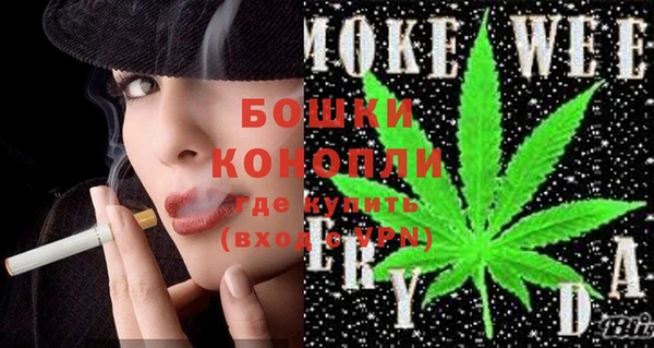 индика Киреевск