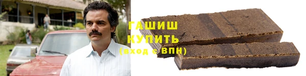 индика Киреевск