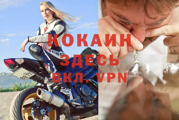 индика Киреевск