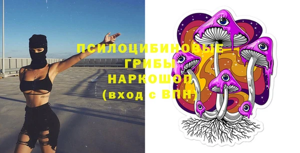 индика Киреевск