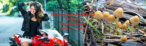 индика Киреевск
