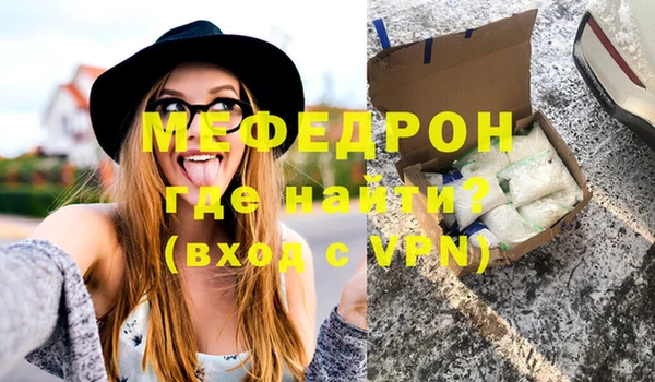 индика Киреевск