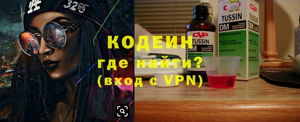 индика Киреевск