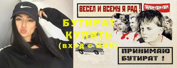 индика Киреевск