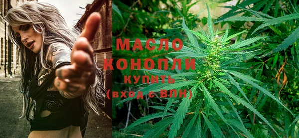 индика Киреевск