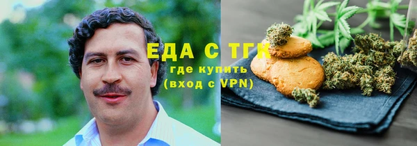 индика Киреевск