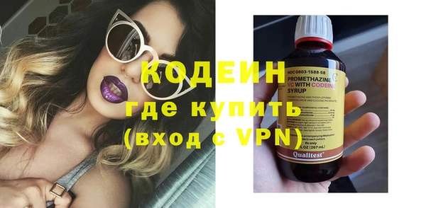 индика Киреевск