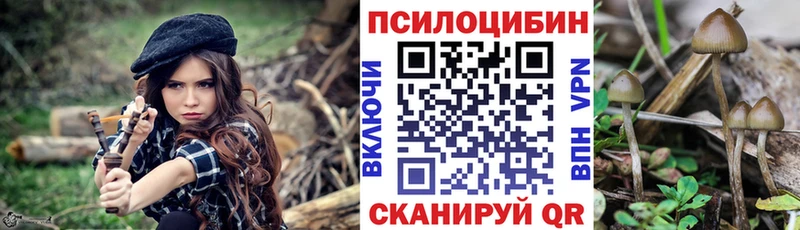 Галлюциногенные грибы Magic Shrooms  ОМГ ОМГ рабочий сайт  Нижний Новгород 