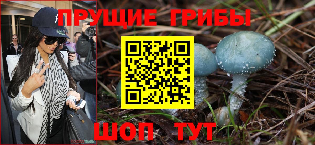 Псилоцибиновые грибы Cubensis Нижний Новгород